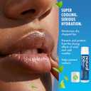 Mentholatum Natural Ice Original Medicated Lip Balm, Hydrating Lip Care for Dry, Chapped Lips, Moisturizing Formula with SPF 15 Helps Prevent Sunburn, Protection for Smooth, Soft Lips (Pack of 12)