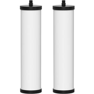 FRC06 Water Filter Cartridge Compatible with Franke FRC06 Still Pure Under-Sink Filtration System FRCNSTR, FRCNSTR100, FRCNSTR-DUO-1, FRCNSTR-DUO-2 Filter Cartridge, 2 Pack