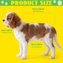 Dog Raincoat Clear Hooded Waterproof Poncho Dinosaur Theme Dog Rain Jacket for Large Medium Small Dogs Puppies