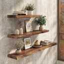 24 Inch Floating Wall Shelves Solid Elm Wood Set of 2 | Vintage Live Edge Wood Grain, Heavy Duty Hidden Brackets, Wall Decor For Living Room, Bedroom, Kitchen & Bathroom, Smoke Vintage, 24"L, 2-Pack