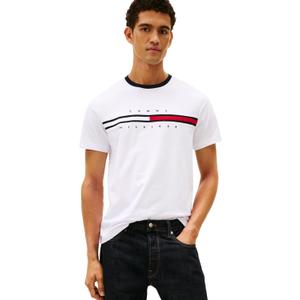 Tommy Hilfiger Mens Short Sleeve Tino T-Shirt (Medium)