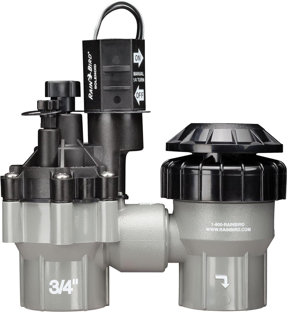 Rain Bird DASASVF075 Professional Grade Anti-Siphon Valve with Flow Control, 3/4" Threaded Female x Female (0.75 Inch)