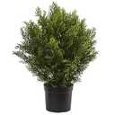 Nearly Natural 2ft. Cedar Artificial Bush (Indoor/Outdoor), Pack Of 4