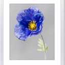 VNVNK 20x24 Frame White, Perfect for 20x24 Inch Picture without Mat or 16x20 Inch Picture with Mat, Home Wall Decor Picture Frame-1 PCS