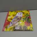 Aquarupella 2025 Calendar - Monthly Wall Calendars - 12-Month Calendar, 12" x 12", Owls