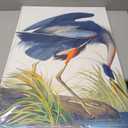 Wieco Art Canvas Print Wall Art Great Blue Heron by John James Audubon Vintage Poster Birds of America Antique Bird Illustration Wall Art for Living Room Home Kitchen Decorations (24x36inch(60x90cm))