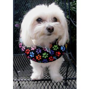 Puppy Bumpers Keep Your Dog on The Safe Side of The Fence - Rainbow Paw (Up to 10")