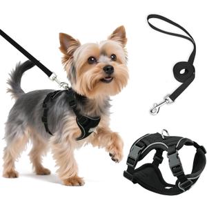 Small Dog Harness and Leash Set, Reflective Soft Breathable Mesh Vest, 3 Buckles, Adjustable Neck and Chest,Step in Dog Harness for Walking, Running, Training, Black, XS