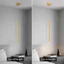 2Light Gold Mini Pendant Lighting Modern Pendant Light,23.62in, 600-2