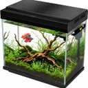 FS&AQ 3 Gallon Fish Tank with Filter and Light No-Install Small Aquarium Starter Kit