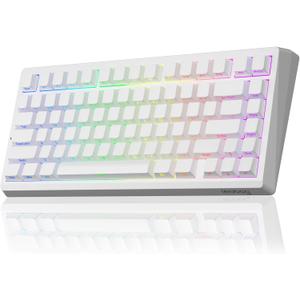 LEOBOG A80 RT Hall Effect Gaming Keyboard Wired, Rapid Trigger Magnetic Switch Keyboard with 0.01mm RT Adjustable Actuation, 8000Hz Polling Rate, RGB Backlit Mechanical Keyboard 75% for PC Gamer