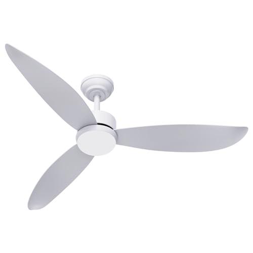 raccroc Ceiling Fans with Lights,52'' Ceiling Fan with Remote Control, 6 Speeds Indoor Outdoor Ceiling Fans with 22W 3CCT Dimmable LED Light, Noiseless DC Motor & 3 Reversible Blades White