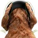 2 x Goaste Dog Helmet for Large Dog, Dogs Motorcycle Helmet with Ear Holes, Doggie Safety Hat with Adjustable Strap for Outdoor Driving Riding(Black, Large)