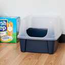 IRIS USA Cat Litter Box Large Open Top with High Sided Walls Tall Scatter Shield Scoop Included Easy Clean Plastic Pan Stain Resistant for Big Cats Kittens Indoor Multi-Cat Households