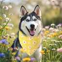 3Pcs Spring Summer Dog Bandanas Reversible Dog Holiday Scarf Adjustable Triangle Pet Bandanas for Medium Large Puppy Pet Decorations