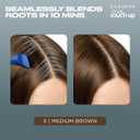 2 x Clairol Root Touch-Up by Nice'n Easy Permanent Hair Dye, 5 Medium Brown Hair Color, (Pack of 1)