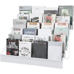 Queekay 6 Tier Wire Countertop Rack Comic Book Rack Wide Tabletop Display Magazine for Book Brochure Literature Greeting Card Shelf Holder Stand (White)