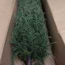3FT Artificial Cedar Topiary Trees Set of 2, Realistic Fake Plants with Ground Spike, UV Resistant Faux Plants Indoor Artificial Plants Outdoor Fake Tree for Porch Garden Home Offices Décor