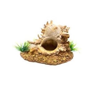AnRui Conch with Holes Thematic, Betta Fish Tank Accessory Decor Ornament, Aquarium Decoration for Small Fish for Fish Passing or Hiding