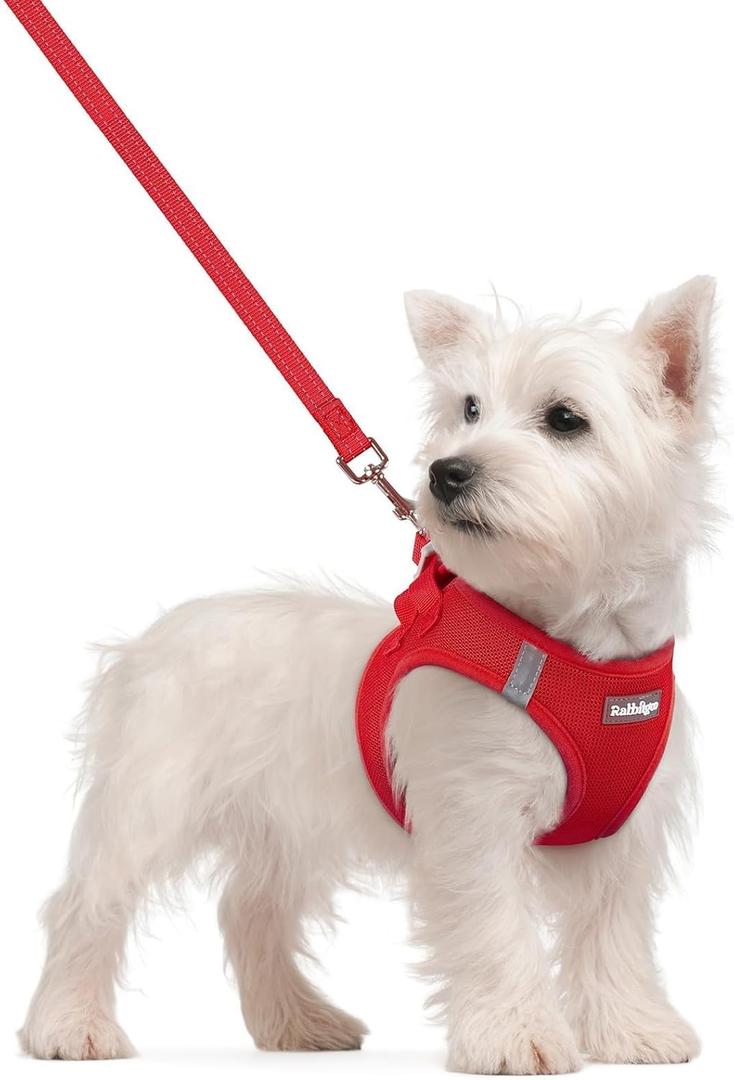 rabbitgoo Dog Harness Small Sized and Leash Set, Step in Soft Light Puppy Vest, Breathable Mesh Pet Harness, Reflective for Safe Easy Walking, Red (S (Chest: 15.1 - 16.5"))