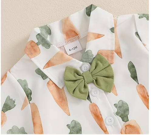 FEIBEL Baby Boys Easter Short-Sleeve Button Shirt Bunny Carrot Print Holiday Clothes  (Carrot, 18-24 Months)