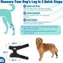 Dog Leg Braces for Back & Front Legs- Dog Hock & Ankle Joint Brace for Weak Back Legs with 2 Metal Strips, Reflective Trim for Sprain, Injury, Arthritis, Wound Recovery,Black,XL