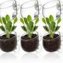 Hiceeden 6 Pcs Aquatic Plant Holder, Glass Aquarium Plant Pot with Suction Cup, Red Worm Cups Fish Feeder for Fish Tank Aquascape Decoration