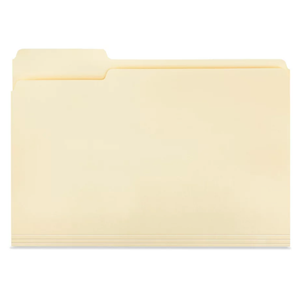 File Folders - Letter Size (100 Pack)