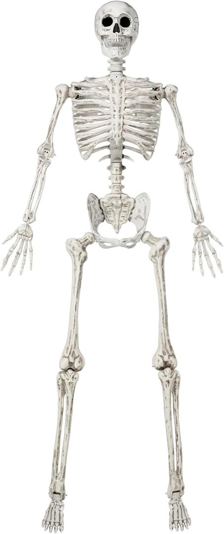 JOYIN 6.9 FT Halloween Skeleton Posable Plastic Full Body Realistic Human Bones with Movable Joints for Indoor Outdoor Halloween Props Spooky Scene Party DecorationsWhite, No Screwdriver
