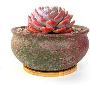 8 Inch Succulent Pot with Drainage and Saucer Glazed Terracotta Round Ceramic Succulent Planter Cactus Bonsai Plant Pot (Pink and Green)