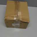 Ceramic Skull - Large