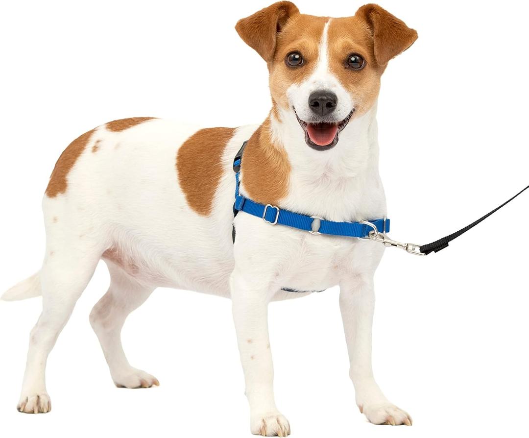 PetSafe Easy Walk Deluxe Dog Harness, No Pull Dog Harness – Perfect for Leash & Harness Training – Stops Pets from Pulling and Choking on Walks, Size Medium, Royal Blue/Navy