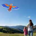 ORGCLDKT- 3D Lifelike Style Bird/Eagle Kite, Super Easy to Fly with, Ideal for Kids, Adults, Girls, Boys. Kites for The Beach, Grassland, Hiking (59")