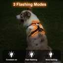 Taglory Light Up Dog Harness, Rechargeable No Pull Dog Vest with 3 Lightning Modes, Reflective Dog Harness with 2 Leash Clips & 4 Adjustable Slide Strips for Small Dogs, Orange-Orange, S