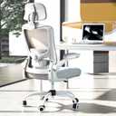 Ergonomic Office Chair, High Back Mesh Desk Chair with Adjustable Lumbar Support & Headrest, Flip-up Armrest, Computer Task Chairs for Home and Executive Office (W-Grey)