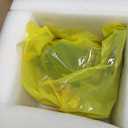 904-810 Gear Driven Mechanical Vacuum Pump Replacement for 1994-2002 Dodge Ram 2500 3500 Cummins 5.9L Diesel # R5019734AA 5019734AA 4897243AA