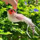 5 x Cat Feather Toys Refill, 5 Pieces Cat Wand Attachments Feathers Bird Toy for Indoor Cats