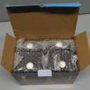 LUHLEE Solar Wall Lights Outdoor, 2000mAh 3000K Wall Sconces,Up and Down Lighting,IP65 Waterproof Solar Outdoor Lights for Wall House Fence Patio Porch Garage Yard (Warm White, 4 Pack)