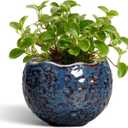 Ceramic Pots for Plants - 4 inch Plant Pots for Indoor Outdoor, Small Planter with Drainage Hole, Unique Flower Pot, Decorative Modern Round Planter, Office Decor, Home Gifts, Retro Blue