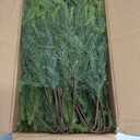 Hananona Artificial Pine Branches,40 Pcs Christmas Faux Cedar Stems, Artificial Faux Cedar Branches, Fake Christmas Greenery Pine Picks for Wreath Craft DIY Home Kitchen Decorations (40, Green)