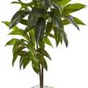 3ft Dracaena Artificial Plant - 36" H x 26" W x 26" D, Real Touch Leaves in White Planter, Ideal for Tight Spaces, Low Maintenance