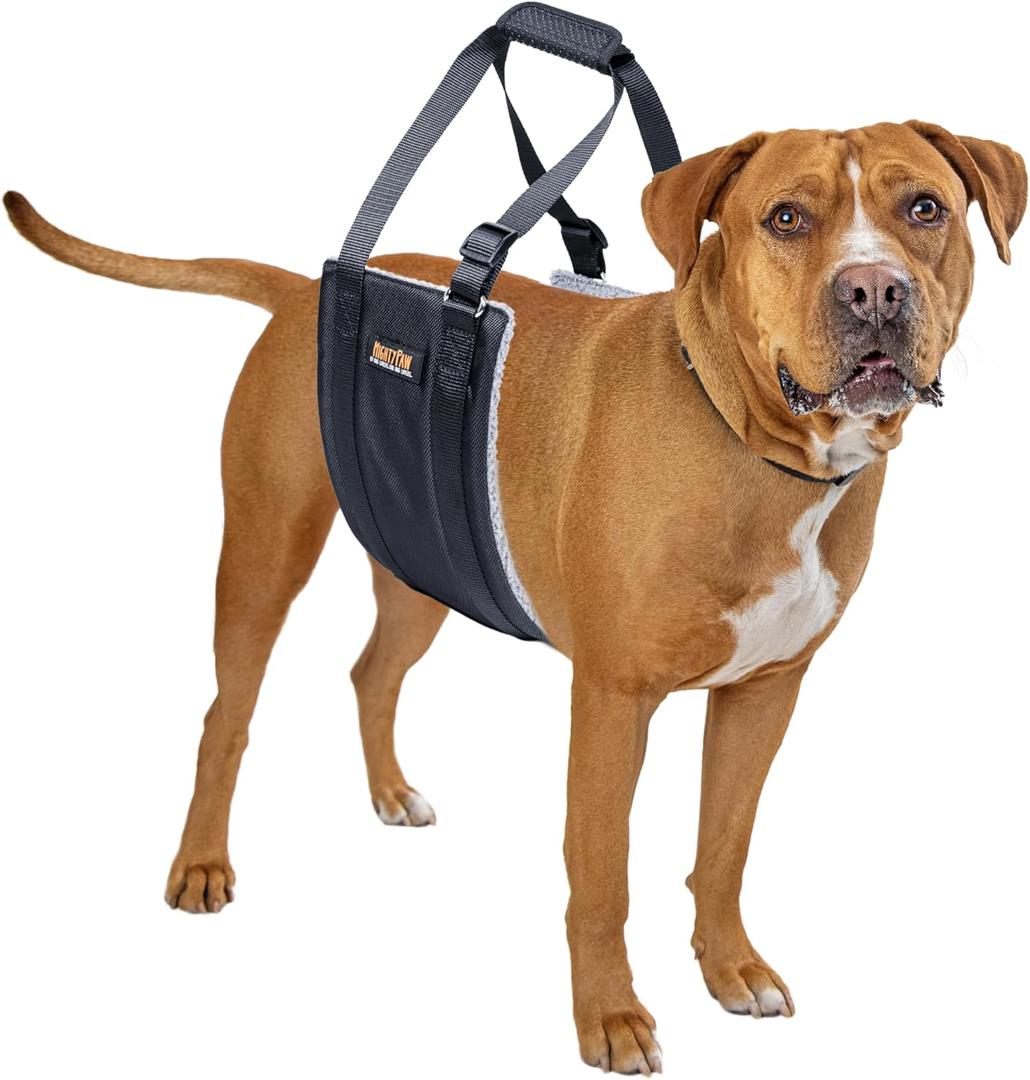 Mighty Paw Dog Lift Harness - 20-60 lbs Dog Hip and Hind Leg Support Sling - Comfortable Assistance for Elderly or Injured Pets with Hip and ACL Brace - Back Support Harness Carrying Sling - Medium Mighty Paw Dog Lift Harness - 20-60 lbs Dog Hip and Hind Leg Support Sling - Comfortable Assistance for Elderly or Injured Pets with Hip and ACL Brace - Back Support Harness Carrying Sling - Medium