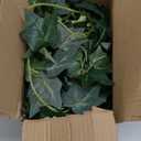 3 Strands Odorless Artificial Ivy Vines Kit, 71" Silk Ivy Garland with Green Leaves, Fake Hanging Plants Greenery Decoration for Bedroom, Windows, Walls, Wedding, Outdoor Decor (Green)