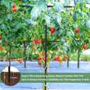 4 Pack Metal Detachable Raspberry & Grape Vine Trellis for Climbing Plants, Heavy-Duty 7 Ft Tall Large Vineyard Trellis Support, Sturdy Garden Stakes for Outdoor Raised Beds Vegetables Fruits Flowers