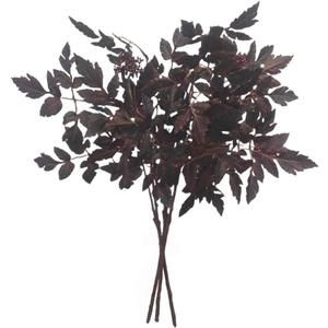 XZJMY 3 Pack Artificial Cimicifuga Plant Leaf,Artificial Fall Leaves Stems,Faux Fall Stems Fake Branches for Vase Home Kitchen Thanksgiving Harvest Farmhouse Table Mantel Decor (Purple)
