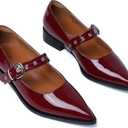 GOUPSKY Mary Jane Shoes Women Chunky Low Heels Buckle Strap Pumps Womens Closed Pointed Toe Ballet Flats Causal Daily Dress Shoes (6, Burgundy)