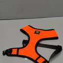 EcoBark Dog Harness - Luxurious Soft Mesh - Eco-Friendly Over The Head Vest Harness - No Pull & No Choke Design - Padded Breathable Body Halter - Large Puppies & Medium Breeds (XL, Orange)