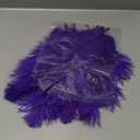 Ballinger Purple Big Ostrich Feathers - 12Pcs 14-16inch Large Feathers for Tall Vase,Mardi Gras Party Centerpieces and Holiday Home Decor (14-16 inch)
