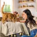 Meow Mix Tender Centers Dry Cat Food, Salmon & Turkey, 3 Pounds (Pack of 4), with Vitality Bursts