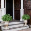 Set of 2 Artificial Boxwood Topiary Trees for Front Door - Faux Realistic Greenery Potted Plants, Fake Outdoor UV-Resistant Bushes with Pots for Porch,Farmhouse,Home,Garden Decor